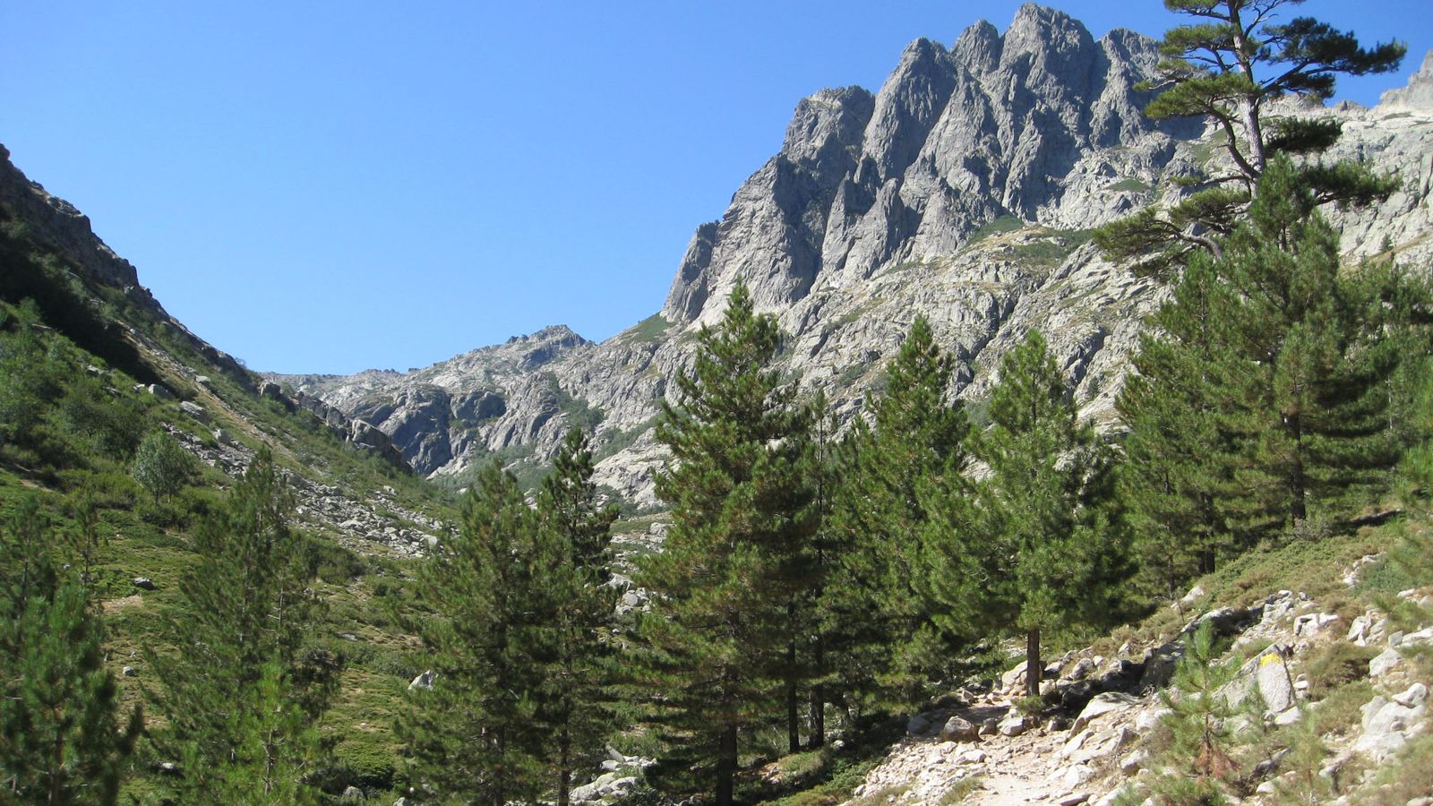 Wanderweg durch ein Gebirgstal mit Kiefern und Felsgipfeln